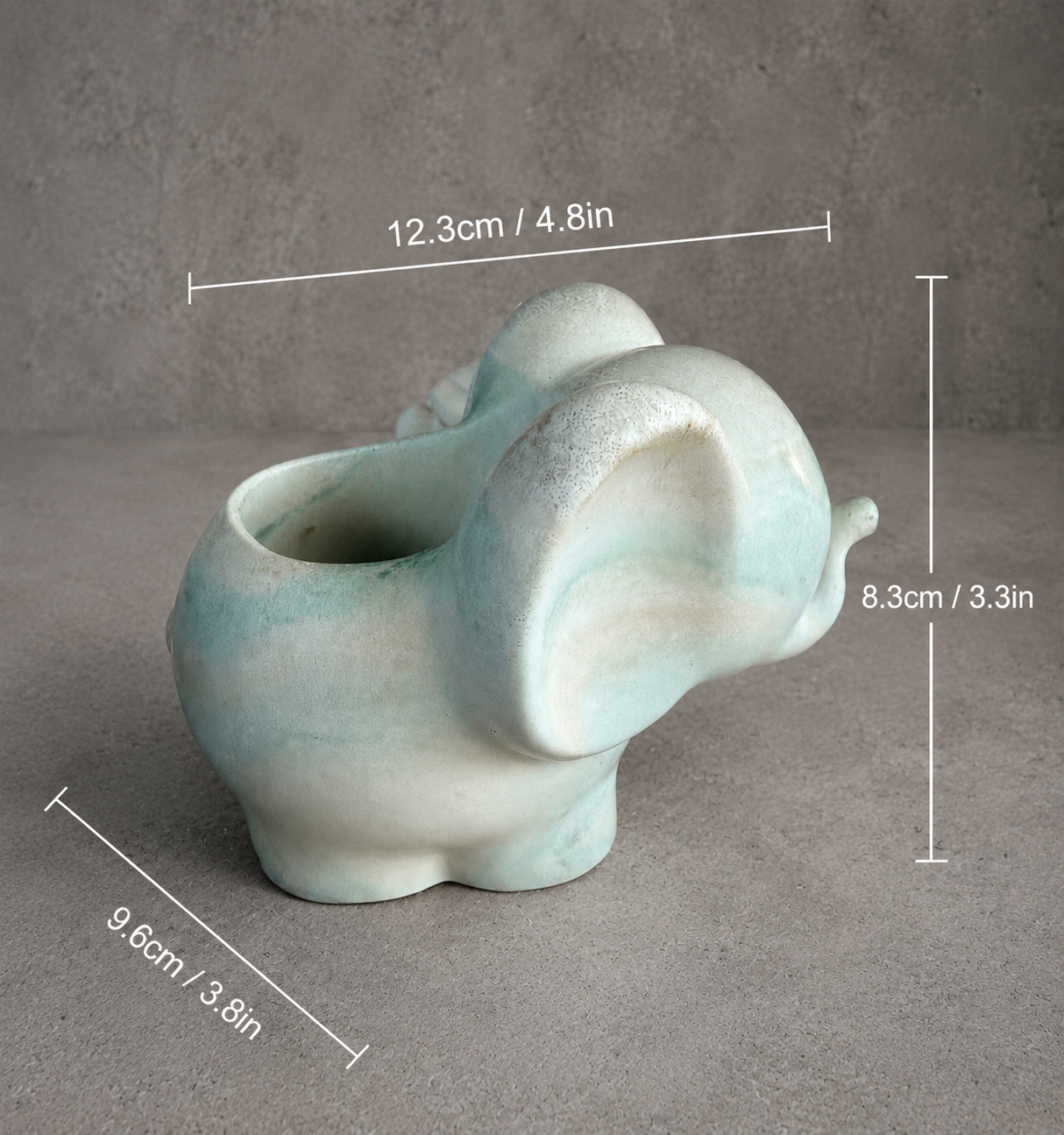 Slated Kingdom - Small Planter & Succulent
