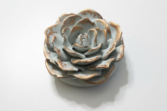 Incense Fragrance Flower Color Highlight