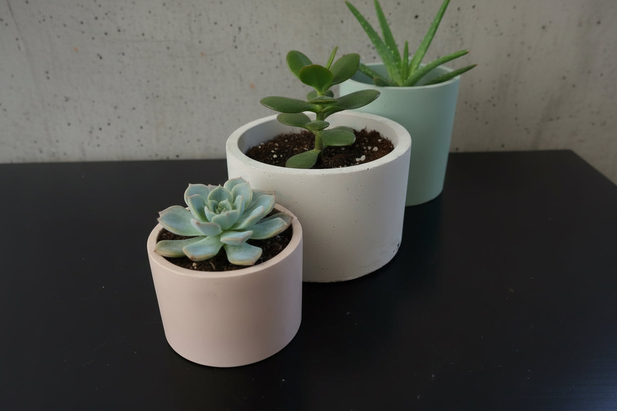 Lunar Shadow - Vessel Set (3)
