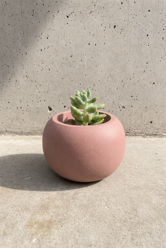Porcelain Fate - Succulent & Vessel