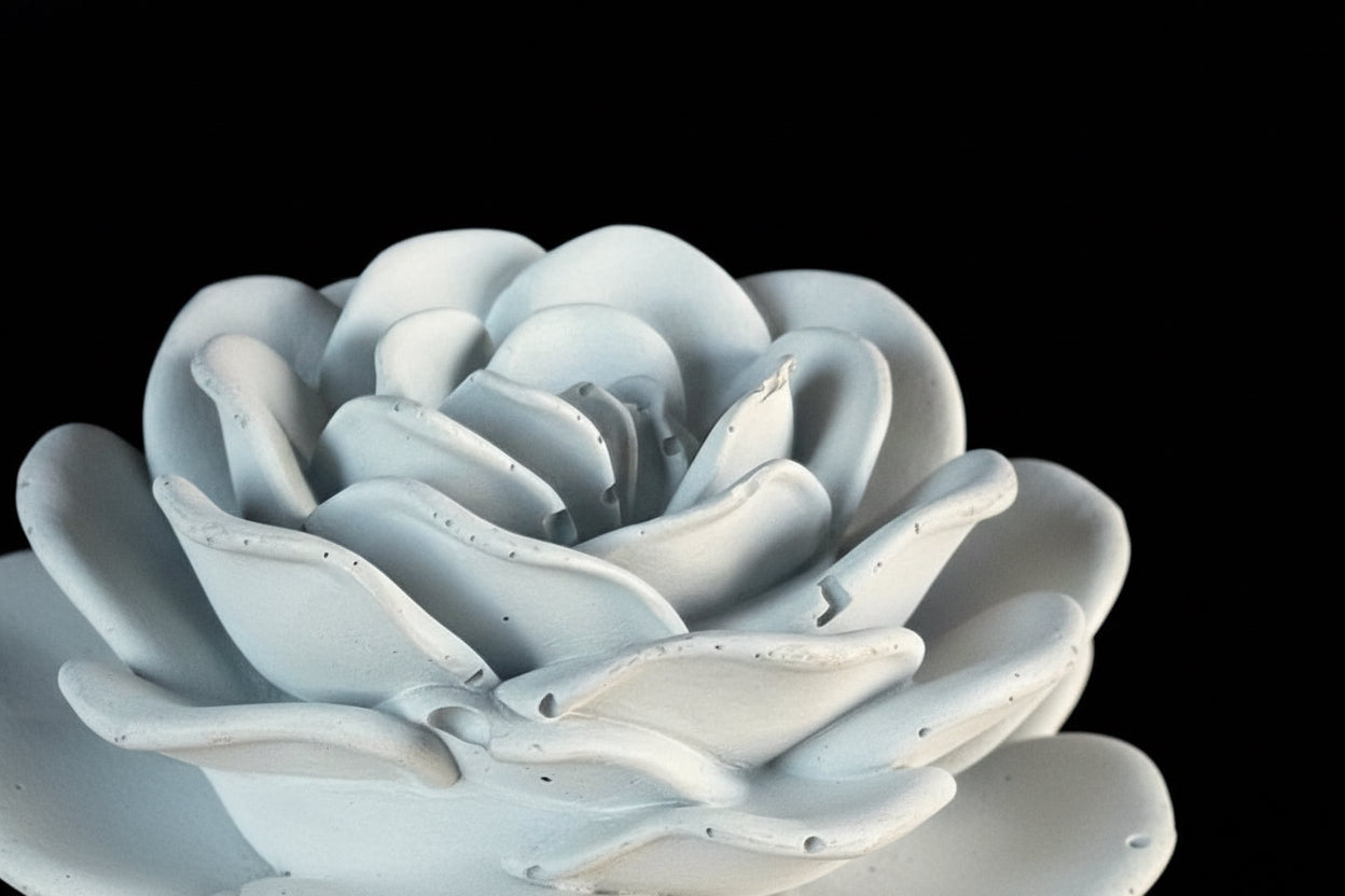 Soft Bloom -Fragrance Flower