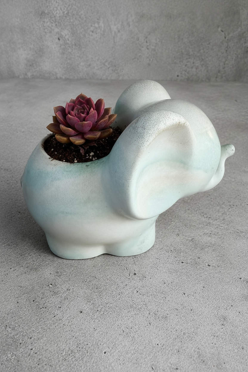 Slated Kingdom - Small Planter & Succulent