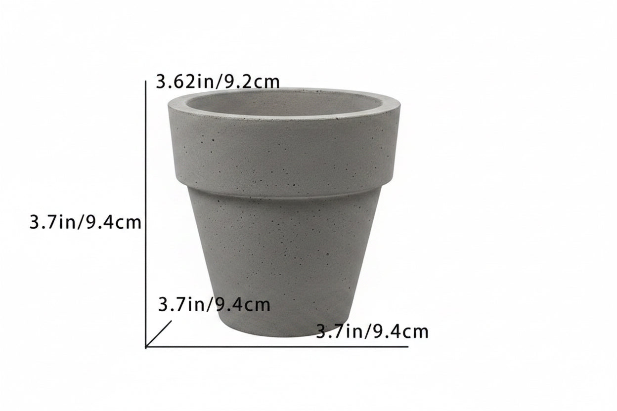 Sequoia Mist - Small Planter & Succulent
