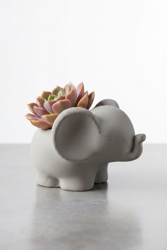 Slated Kingdom - Small Planter & Succulent