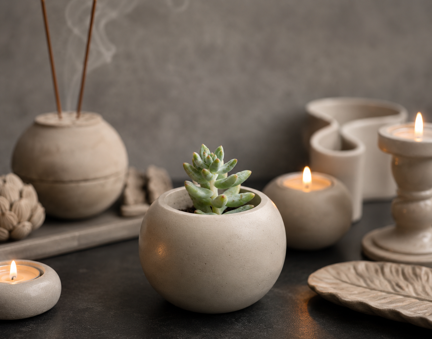 Porcelain Fate - Succulent & Vessel