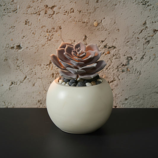 Porcelain Fate - Succulent & Vessel