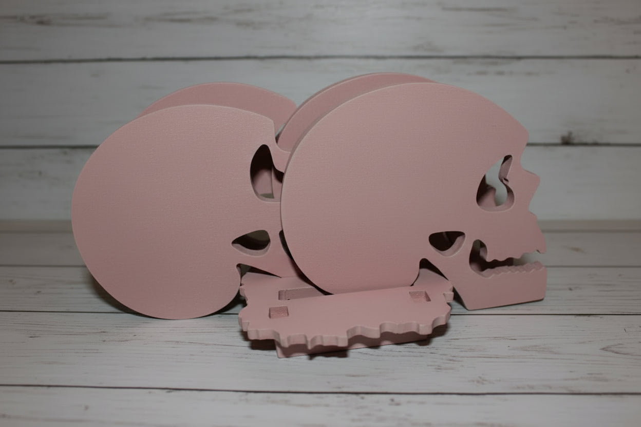 Large Skull Coaster Set