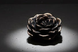 Full Bloom - Fragrance Flower