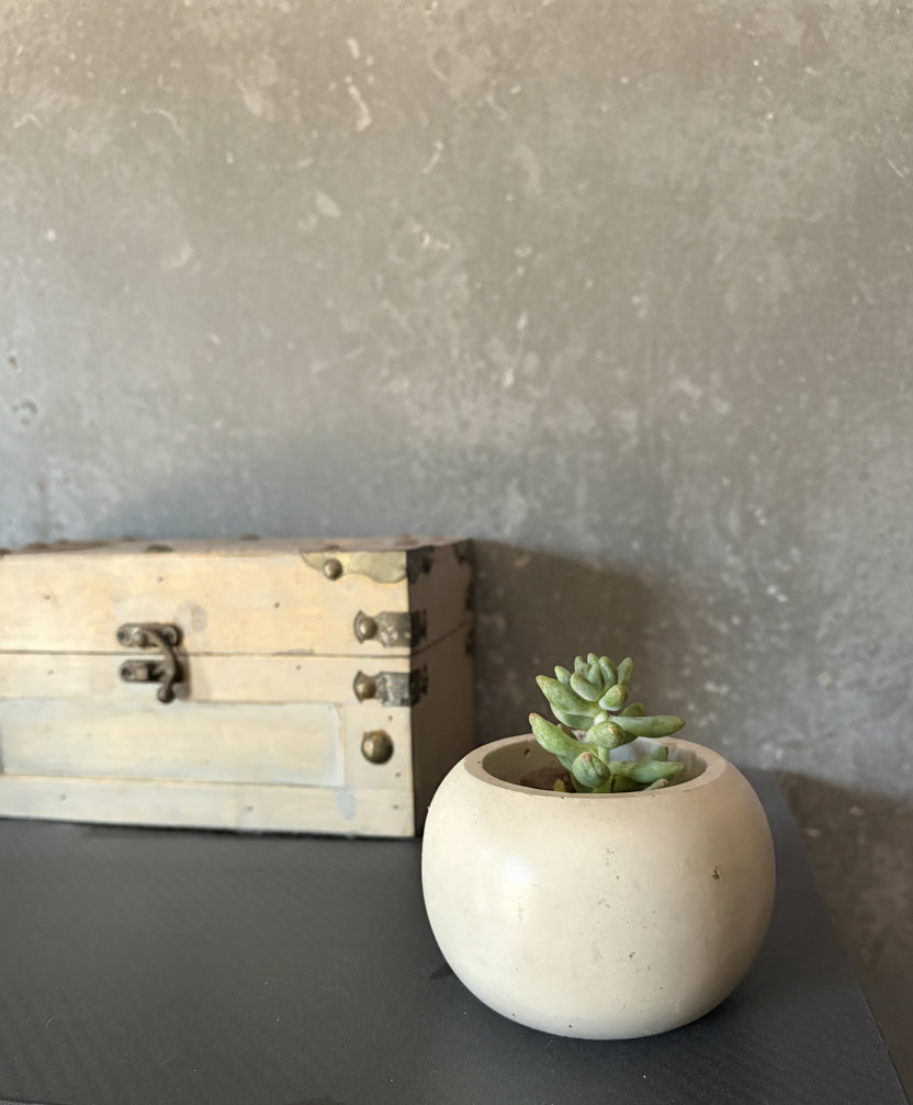 Porcelain Fate - Succulent & Vessel